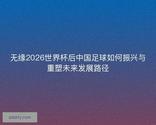 无缘2026世界杯后中国足球如何振兴与重塑未来发展路径
